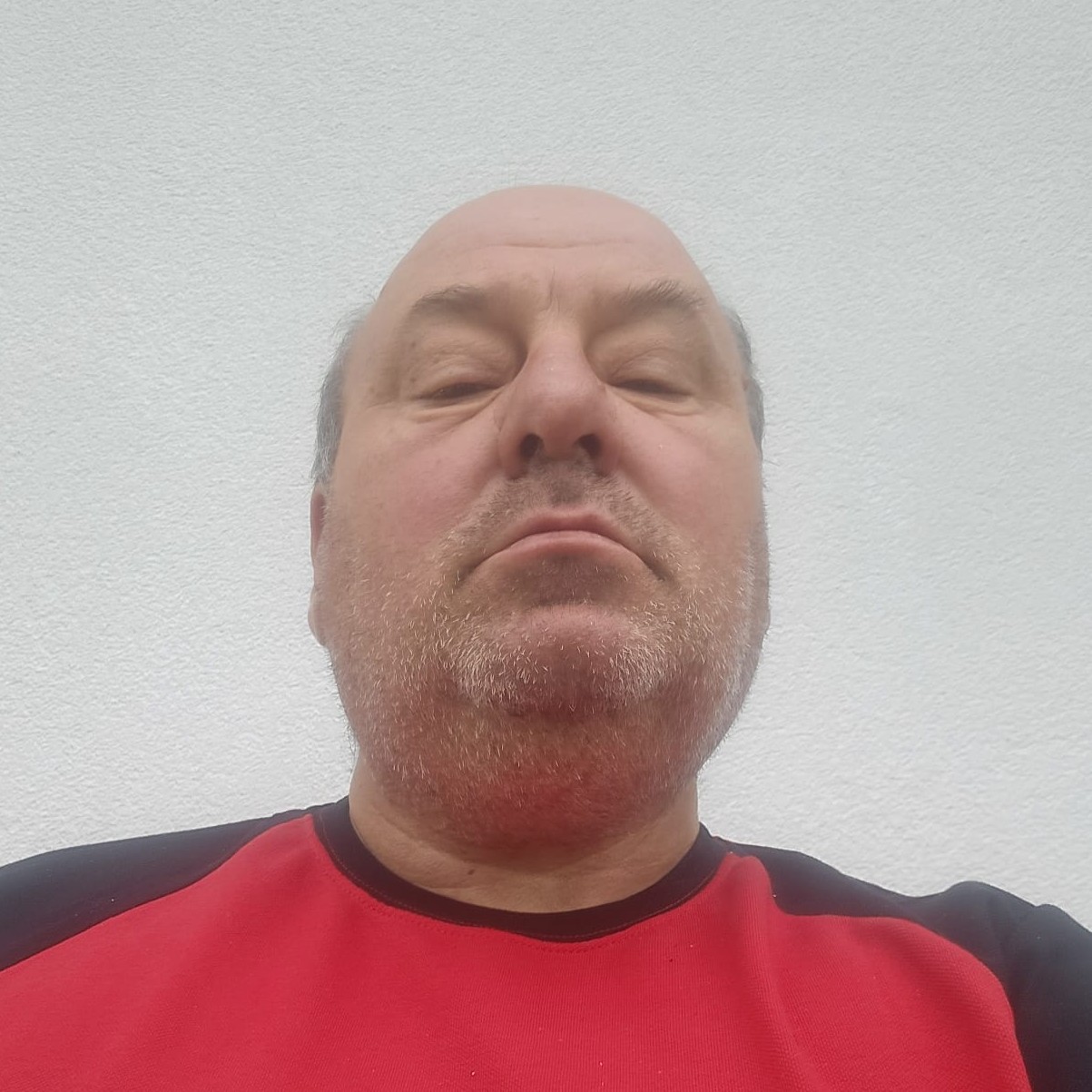 Timiș Daniel Mihai Mulea